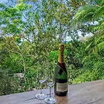\'Reinwood Retreat\' A Paradise For The Naturalist
