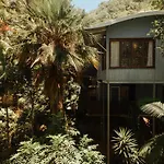 Reinwood Retreat - A Home Nestled In The Treetops Of A Rainforest