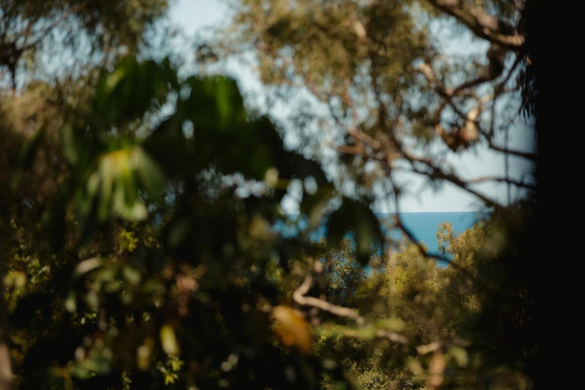 Reinwood Retreat - A Nestled In The Treetops Of A Rainforest