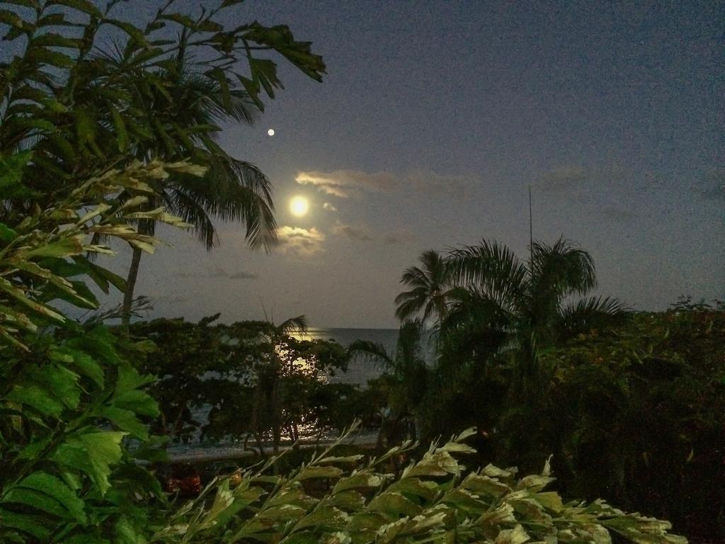 Roydon Beachfront Aparthotel