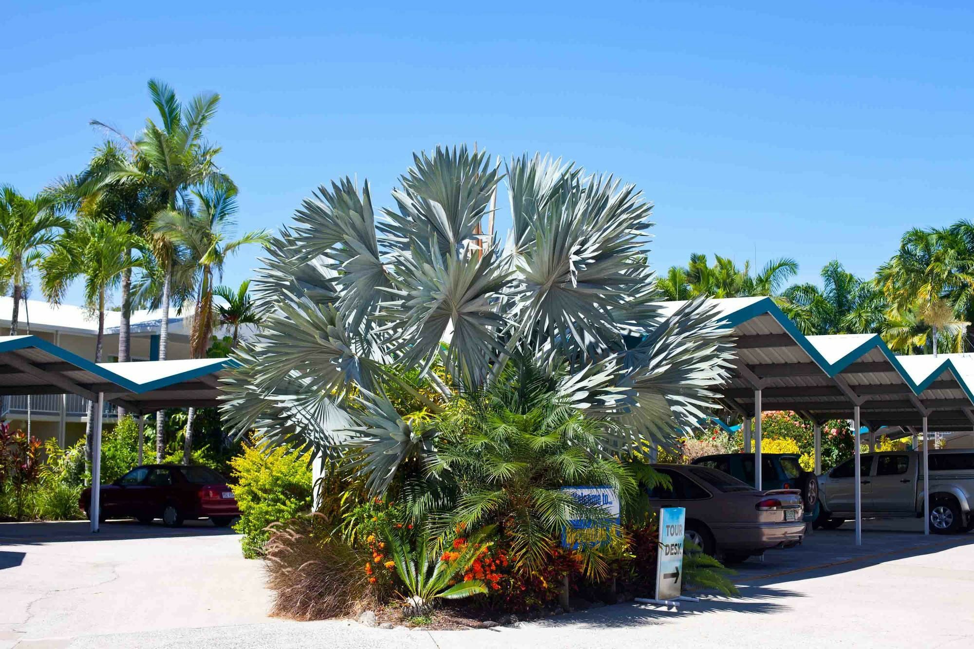 Trinity Pacific 4*