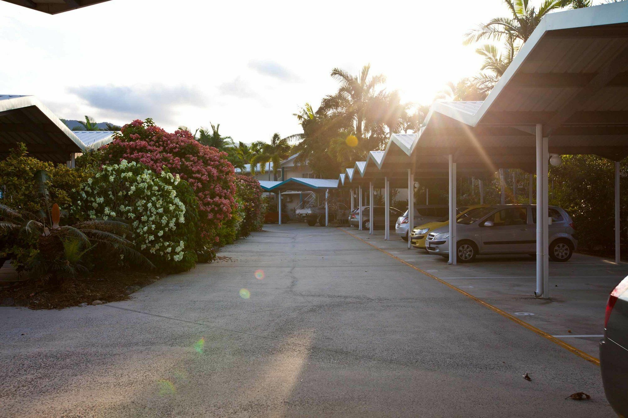 Trinity Pacific
