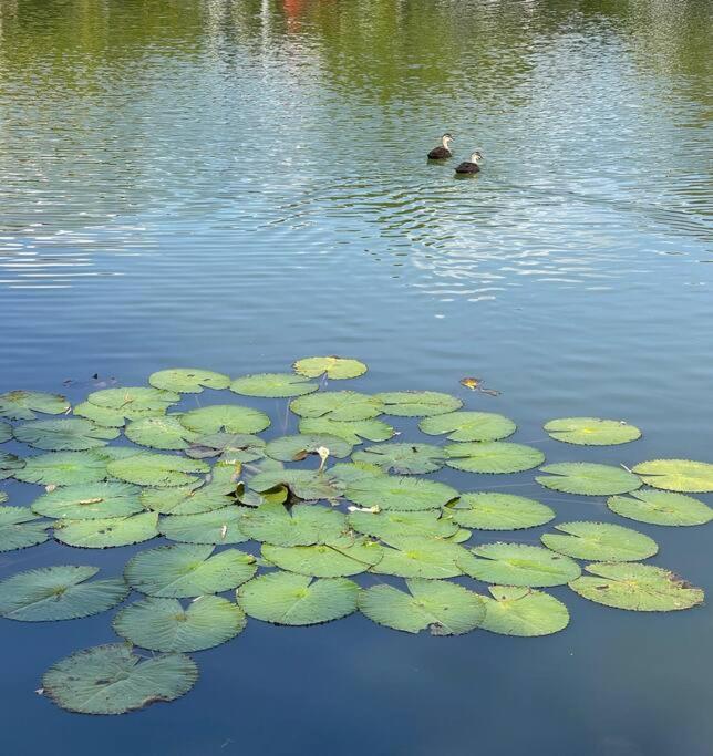 Relax At Trinity Getaway, Blue Lagoon, Trinity Apartment *