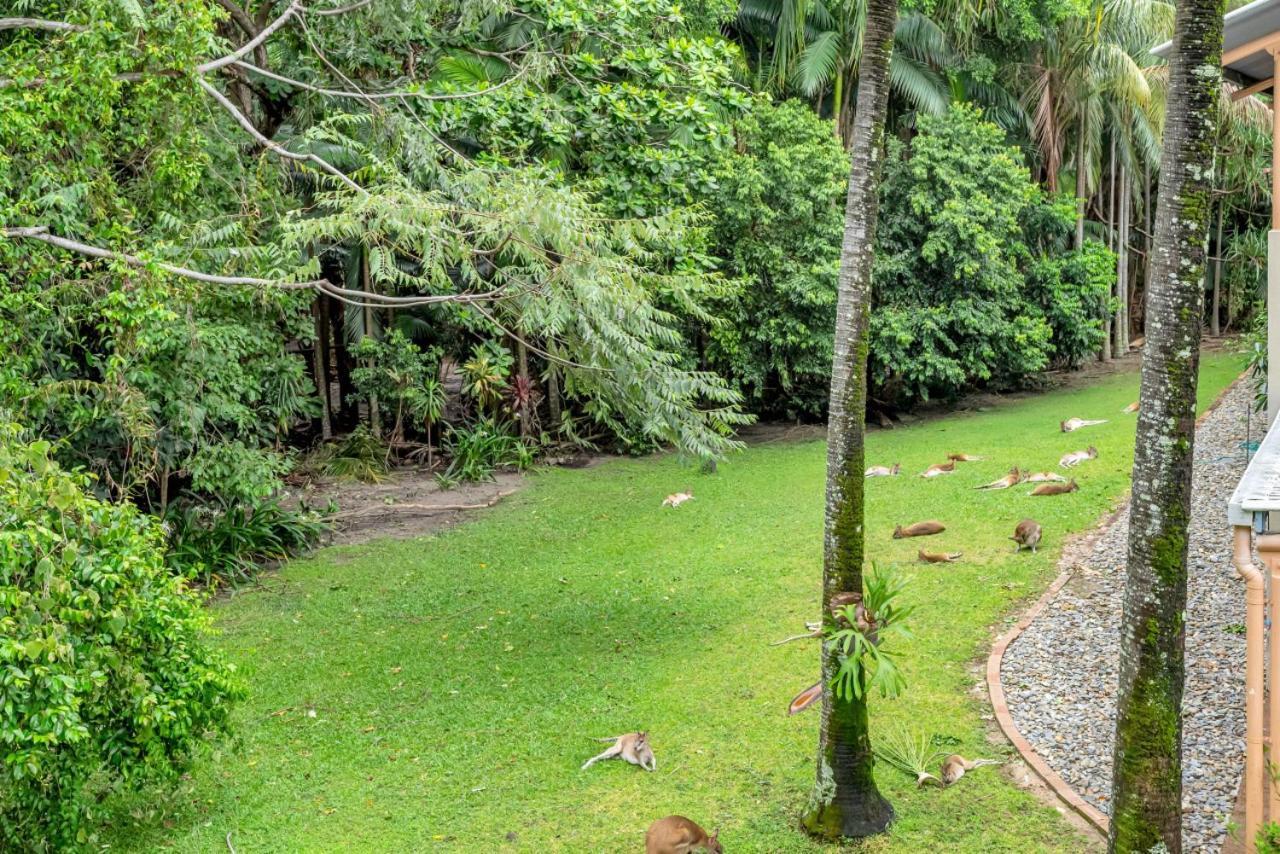 Apartment Wallaby Outlook The Perfect Family Escape